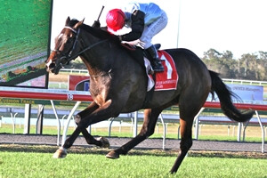 Shenzhou Steeds Caloundra Cup